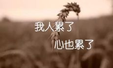 分享带有些许缺憾和难过的句子，诉说内心真实感受