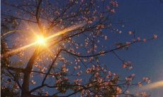 为忙碌人士量身打造之暖心文案，暖化疲惫心灵，带来温馨感受！