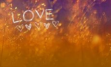 2022年情人节，让朋友圈更有价值：最走心的文案分享！