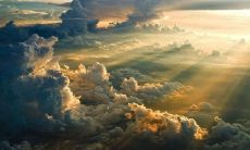 中秋节期间发送问候短信，表达节日祝福和美好祝愿