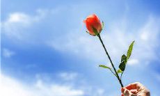 分享：经典短句——用于在朋友圈公开宣布分手的文章