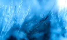 在寒风凛冽的冬日里，向朋友问候的短信内容：温馨提醒，记得保暖，外出请注意防寒！