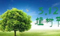 一首古诗，端详植树节，感怀亿万树苗铺春屏
