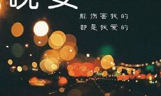 一篇更长的标题改写：关于晚安的朋友圈说说以及如何在简短的文字中表达出心灵深处的安宁和祥和之感