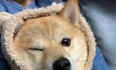 如何在微信聊天窗口中将需要的文案短句进行置顶？