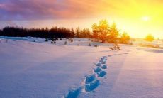 早安，让心灵感动的唯美句子短短送上！