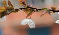 美妙入微的描写春雨的优美诗句尽览