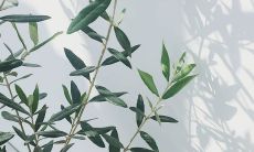 汇总：现代社会中激励人心的名言语录大全