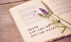 小学六年级诗歌教学：详解托物言志的诗句表达技巧与实践应用