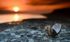 凝聚人生智慧与力量的激励语录——激荡心灵的人生励志名言！