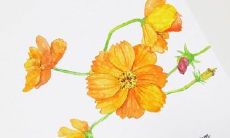 经典的古诗句子，留下了许多关于友谊和友情的感怀与思考，让我们感受到了友谊的珍贵和深刻意义