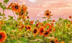 在新起点、新开始的时刻，欣赏那些美妙的句子