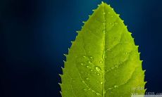 激励高考生的励志名言和个性化签名推荐