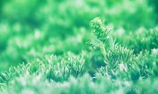 - 让你振奋的励志名言：激励你前进的至理名言和动人语句！