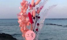 三八国际妇女节有哪些优美动人的祝福语句子可以送给女性朋友呢？