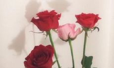 分享一些温馨的三八妇女节祝福语：让您的爱和关怀表达得更加充分和深刻！