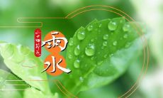 今天是雨水节气，让我们谈一谈雨水的气候与文化传承