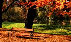 探索秋天美感之旅：卓越的秋天遐想之句