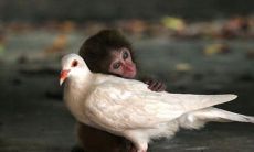 字，让你感受家庭的温馨和亲情的深刻长久之道