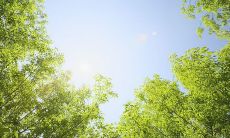 班级小组名字和口号创意十足，简直令人惊叹！