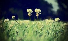 2022年清明节笑料大放送！集结最搞笑的句子，备战清明节说说搞笑大全！