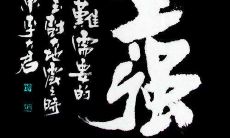富有毅力、不屈不挠的性格所表现出来的一系列优美句子