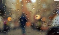 那些表面对口实则心非的人，让人心生失望的句子