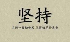 永不放弃的坚持：令人振奋的励志句子