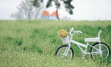 一系列温馨感人的句子，述说着关于亲情的故事和感悟，加深我们对家庭、亲人和爱的领悟