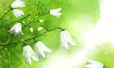 如何用简洁的句子表达深刻的亲情之情？