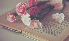 这句温暖人心的话表达了深刻的亲情情感