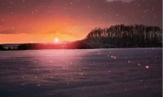 分享多种表达快乐的英语句子，点亮你的心情！