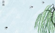 谷雨时节的精彩生活记录：谷雨发的最新社交媒体动态