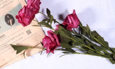 富含深意却不显露端倪的情话