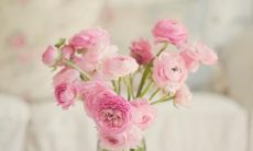 收录众多令人捧腹大笑的幽默句子，带你走进一片欢乐的天地！