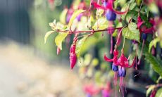 名言名句优美句子励志，鼓舞人心的名言警句，可以启迪人心，提升人的心灵境界！