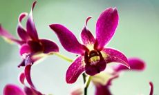 马云鼓舞人心的成功箴言：探究阻力背后的机遇，勇创未来的创业导师！