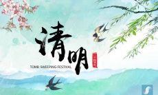 一些有关清明节的感言和句子分享