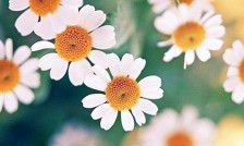 许多方式，从简单的“不开心”到更复杂的表达方式，但是不管怎样，总有一种表达方式可以确切地传达你的情感和情绪