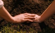 一组令女性心跳加速的浪漫句子，让你怦然心动