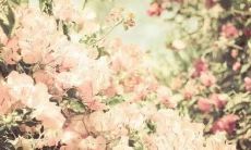 当亲情、友情和爱情都逝去，留下的无尽孤独与遗憾的句子