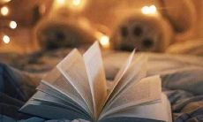 一些充满希望的关于友情的句子，用以激励人们维护彼此间的真诚友谊