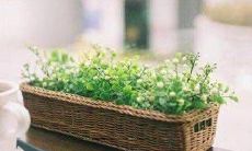 个性签名被伤感友情句子取代，感情悲剧降临