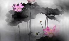 一组让人感动的心灵疗愈短句，细腻地描绘珍贵友谊的美好与深情