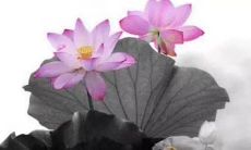 探讨友情的意义与价值：挑选出最重要的句子，唤起人们对友谊的珍视和重视