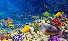 在爱情公寓中，关于友情的经典台词和感人句子汇总