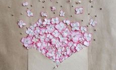 一些用于祝福两位朋友友谊的长句子