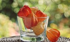 无忧无虑，充盈喜悦——生活中令人高兴的美好时刻描述