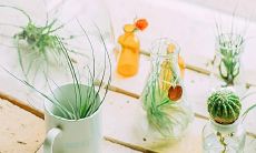 快乐和开心具有传染性的事实：一句话可以感染整个团队的心情