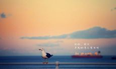 如何设计一个能够激励和鼓舞创业团队的八字口号？